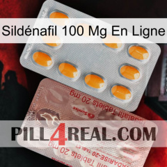 Sildénafil 100 Mg En Ligne new13